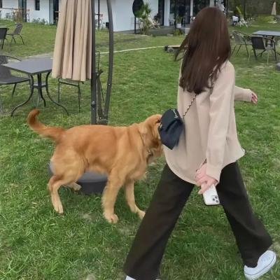 纯纯的小时光